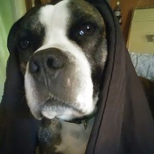 Meet your Posher, Carol